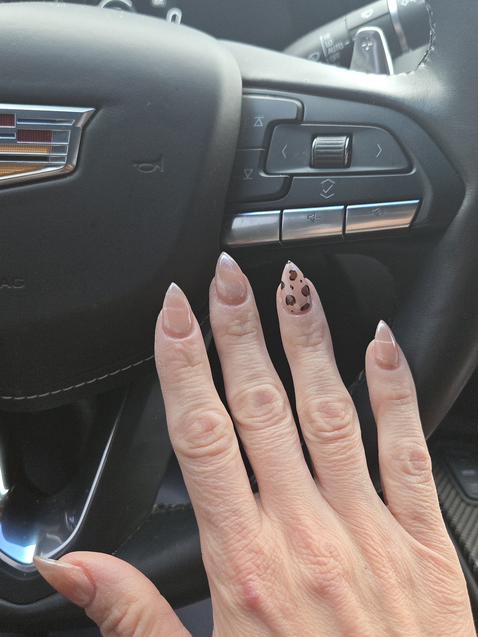 Sophia Nguyen Spa Nails nail photo 2
